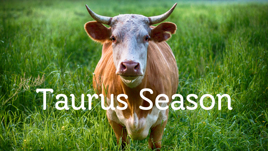 Taurus season (April 20 to May 20)
