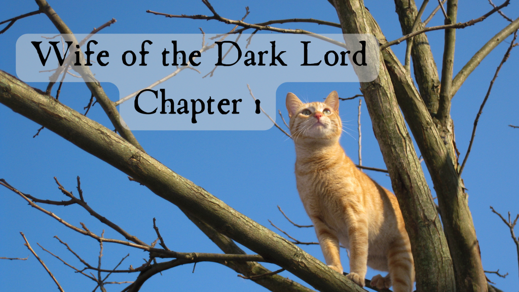 Wife of the Dark Lord (chapter 1)